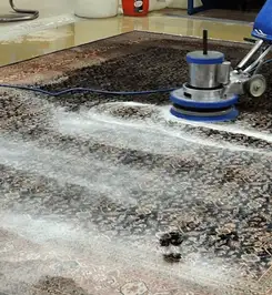 Professional rug cleaning with a rotary floor machine and shampoo foam, deep-cleaning an area rug Phoenix, AZ.